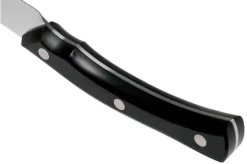 Due Cigni Arne Line Paring Knife 10 Cm, Black -Knife Shop DG2C901 04 due cigni arne