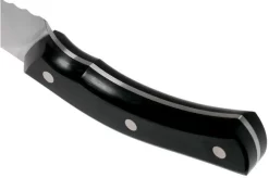 Due Cigni Arne Line Bread Knife 23 Cm, Black -Knife Shop DG2C903 04 due cigni arne