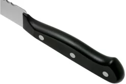 Wüsthof Gourmet Bread Knife 20 Cm, 1025045720 -Knife Shop WU1025045720 05 wusthof v202102