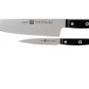 Zwilling Gourmet 2-piece Knife Set, 36130-005